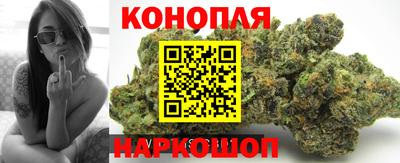 стафф Тара