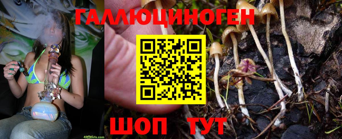 Хабаровск  Галлюциногенные грибы мицелий  Вход с VPN 